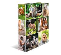 HERMA 19252,Raccoglitore DIN A4, motivo: roditori, 7 cm di larghezza, cartone resistente, stampa interna ed esterna colorata con design di alta qualità, raccoglitori per uffici, raccoglitori