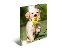 HERMA 19336 patinati Sammelmappe DIN A3 plastica, serie Animali, motivo: cane, segno Mappe Con con elastici in gomma, con stampa interna, 1 pezzi