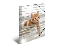 HERMA 19337 patinati Sammelmappe DIN A3 plastica, serie Animali, motivo: gatti, segno Mappe Con con elastici in gomma, con stampa interna, 1 pezzi