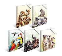 HERMA 19965 - Cartellina portadocumenti DIN A3, motivo: animali esotici, set da 10 pezzi, in plastica resistente, con alette interne stampate ed elastico, per bambini, ragazzi e ragazze