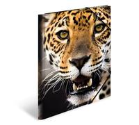HERMA 7137 - Cartellina portadocumenti, formato DIN A4, in plastica resistente, con alette interne stampate ed elastico, per bambini, ragazzi e ragazze, motivo: leopardo