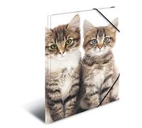 HERMA 7138 - Cartellina portadocumenti, formato DIN A4, in plastica resistente, con alette interne stampate ed elastico, per bambini, ragazzi e ragazze, motivo: gatti