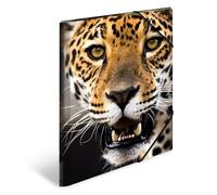 HERMA 7142 - Cartellina portadocumenti, formato DIN A3, in plastica resistente, con alette interne stampate ed elastico, per bambini, ragazzi e ragazze, motivo: leopardo