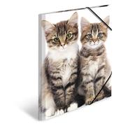 HERMA 7143 - Cartellina portadocumenti, formato DIN A3, in plastica resistente, con alette interne stampate ed elastico, per bambini, ragazzi e ragazze, motivo: gatti