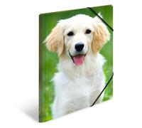 HERMA 7144 - Cartellina portadocumenti, formato DIN A3, in plastica resistente, con alette interne stampate ed elastico, per bambini, ragazzi e ragazze, motivo: cani, set da 3