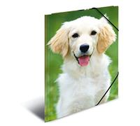 HERMA 7144 - Cartellina portadocumenti, formato DIN A3, in plastica resistente, con alette interne stampate ed elastico, per bambini, ragazzi e ragazze, motivo: cani