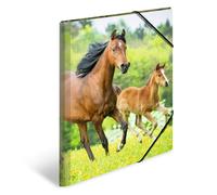 HERMA Elastic Folder Animals with Horses Motif, A3, Sturdy Plastic, with Inner P