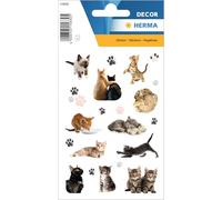 HERMA Adesivi per gatti, adesivi per bambini e bambini, adesivi per bambini con motivo di gatti, per album di adesivi, album fotografici, regalo di compleanno, decorazione lettere, fai da te