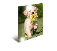 HERMA CARPETA A4 POLIPROPILENO BRILLANTE PERRO