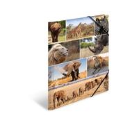 HERMA Cartella A3 Lion Set di 3 cartelle angolari in cartone per bambini, motivo animali africani, fascia elastica, alette interne e stampa interna, per ragazzi e ragazze