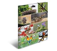 HERMA Cartella portadocumenti A3 con uccelli, cartella angolare per bambini, in cartone con motivo animale, fascia elastica, alette interne e stampa interna, per bambini e bambine