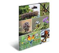 HERMA Cartellina portadocumenti in formato DIN A4, motivo: animali e uccelli, in cartone resistente, con stampa interna completa ed elastico, per bambini, ragazzi e ragazze