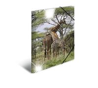 HERMA Cartellina elastica con motivo giraffa, formato A3, in plastica lucida, con stampa interna, 1 cartellina