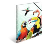 HERMA Cartellina portadocumenti A3 pappagallo, in plastica con motivo animale, elastico, alette interne e stampa interna per ragazzi e ragazze