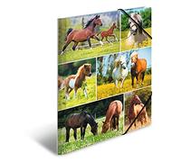 HERMA Cartellina portadocumenti per bambini, ragazzi e ragazze, formato DIN A4, con stampa interna completa e fascia elastica, 19342