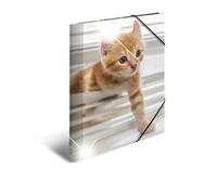 HERMA Cartelline da collezione, formato A4, con animali e gatti, confezione da 3, per bambini, in plastica, effetto lucido, stampa interna ed elastico, set di cartelle in plastica robusta, per ragazzi e ragazze