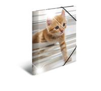 HERMA Elastic Folder Animals with Cats Motif, A4, Glossy Plastic, with Inner Pri