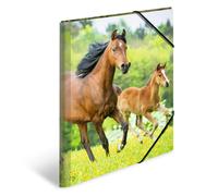 HERMA Elastic Folder Animals with Horses Motif, A3, Sturdy Plastic, with Inner P