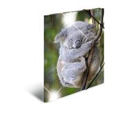 HERMA Elastic Folder Animals with Koala Motif, A4, Glossy Plastic, with Inner Pr