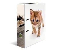 Herma Folder A4 Cat, 7 cm Wide, Children's Ring Binder with Animal Motif, Colour