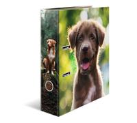 Herma Folder A4 Dog, 7 cm Wide, Children's Ring Binder with Animal Motif, Colour