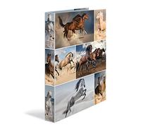 HERMA Ring Binder Animals with Horses Motif, A4, 35 mm Spine, Slim 2-Ring Binder