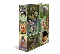 HERMA Registratore a leva con anelli Animali con motivo Animali della foresta, A4, dorso 7 cm, cartonato, colori