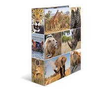 HERMA Registratore a leva con anelli Animali con motivo Animali dell'Africa, A4, dorso 7 cm, cartonato, colori