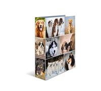 HERMA Registratore a leva con anelli Animali con motivo Cane, A4, dorso 7 cm, cartonato, colori