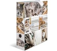 HERMA Registratore a leva con anelli Animali con motivo Gatto, A4, dorso 7 cm, cartonato, colori