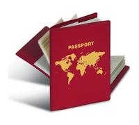 HERMA 5549 N Custodia protettiva RFID per passaporto con due tasche interne