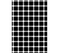 Hermann Grid Optical Illusion Journal: Composition Notebook with Phantom Dots