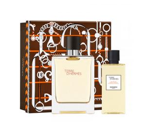Hermès Terre D’Hermès Cofanetto eau de toilette 100 ml eau de toilette + 80 ml shower gel