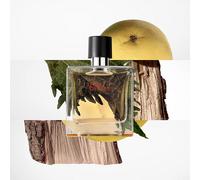 Hermès Terre D'Hermès 100ml - Eau de Parfum