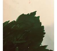 Hermione Johnson - Tremble
