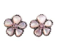 Merchandising Noble Nn8900 - Harry Potter - Hermione (Orecchini)