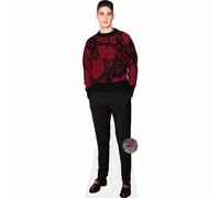 Hero Fiennes Tiffin (Red Jumper) mini formato