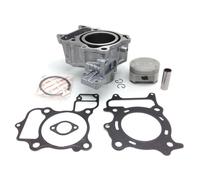 Hert Honda Sh 300 Cylinder Argento