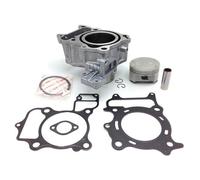 HERT KIT GRUPPO TERMICO HONDA SH 300 2007-2020