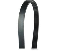 HERTH+BUSS JAKOPARTS Cinghia A V Per Suzuki Swift IV Splash Nissan Pixo