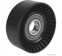 HERTH+BUSS JAKOPARTS J1142080 Galoppino/Guidacinghia, Cinghia Poly-V per LEXUS,T