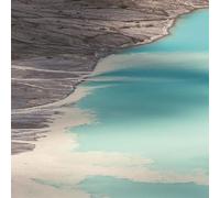 HERVE - ART OF DISAPPEARING