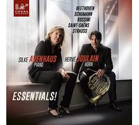 Herve Joulain Herve Joulain & Silke Avenhaus: Essentials (CD) Album