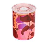 Hervit art.28997 contenitore vetro Botanic rosso dia.9,5x12,5cm
