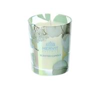 Hervit Candela in Contenitore Vetro profumazione Oud Botanic 70 gr, 7 cm 4 Varianti(1pz) Blu