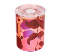 Hervit Contenitore Alimenti in Vetro Rosso Iridescente con Coperchio Salva freschezza Botanic - in 3 Colori con Scatola Regalo - Arredo Casa Cucina Design Natura Bomboniera Regalo Natale Ø9,5x12,5cm