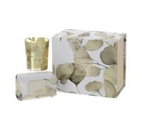 Hervit Set Candela Profumata con Tazza Mug in Porcellana in Box Regalo Botanic - Scatola Regalo con Tazza da Te 270ml e Candela al Biscotto 70gr - 4 colori differenti (Giallo-2)