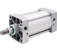 Heschen Cilindro Pneumatico Standard, SC 100-100, PT1/2'' Porta, Alesaggio 100mm, Corsa 100mm, Doppio Effetto