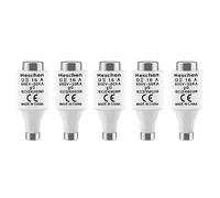 Heschen Collegamenti di fusibile neozed in ceramica, Link fusibile tipo DII, 16A 500VAC, tipo gG, per la protezione di cavi e linee, confezione da 5