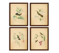 heshengzaixian Stampa artistica da parete su tela vintage con uccelli tropicali, fiori e piante, poster con stampa artistica, regalo per gli amanti degli uccelli, set da 4 (20 x 25 cm) senza cornice